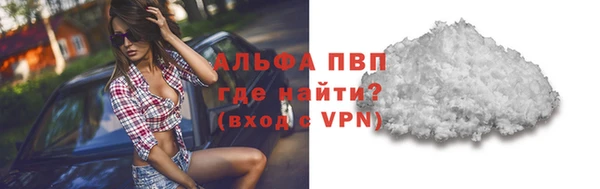 молекула духа Елизово