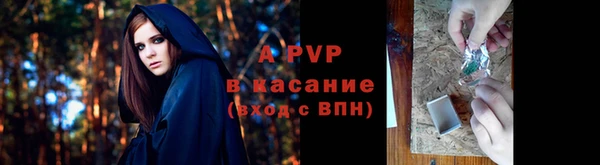 молекула духа Елизово