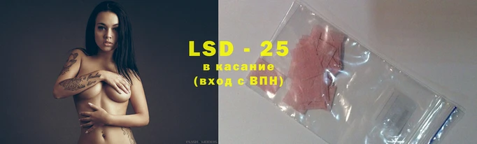 молекула духа Елизово