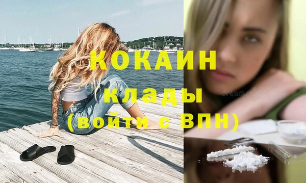 метадон Ельня