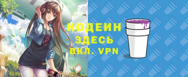 молекула духа Елизово