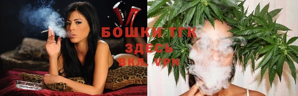 дживик Дмитров