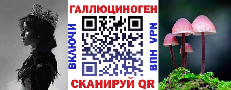 наркота  Зеленогорск  Псилоцибиновые грибы Cubensis 