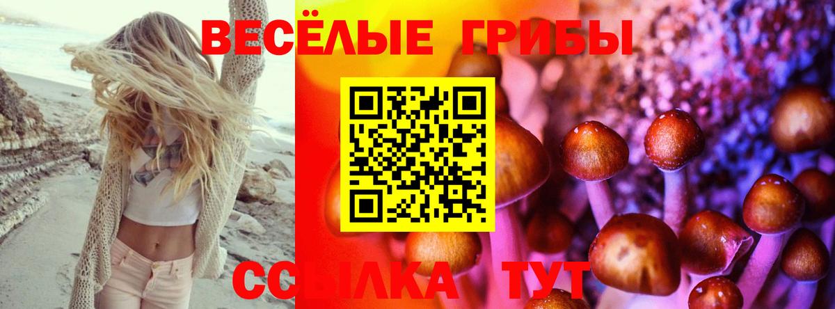 сколько стоит  Галлюциногенные грибы Psilocybe  Вход с VPN  Зеленогорск 
